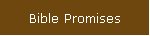 Bible Promises