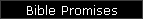 Bible Promises