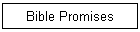 Bible Promises