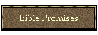 Bible Promises