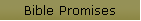 Bible Promises