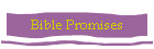 Bible Promises