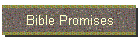 Bible Promises
