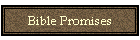 Bible Promises