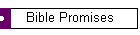 Bible Promises