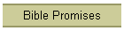 Bible Promises