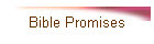 Bible Promises