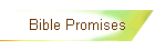 Bible Promises