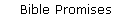 Bible Promises