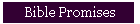 Bible Promises