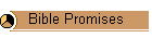 Bible Promises
