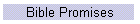 Bible Promises