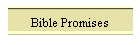 Bible Promises
