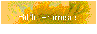 Bible Promises