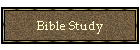 Bible Study
