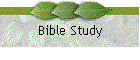 Bible Study
