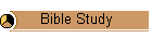 Bible Study
