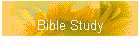 Bible Study