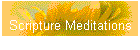 Scripture Meditations