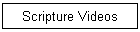 Scripture Videos