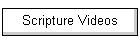 Scripture Videos