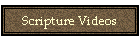 Scripture Videos