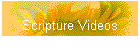 Scripture Videos